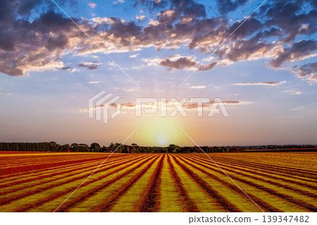 Flax fields in Normandy, France Flax fields in Normandy, France 139347482