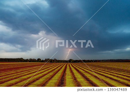 Flax fields in Normandy, France 139347489