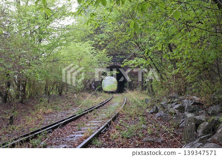 一條廢棄鐵路線上被雨水浸透的隧道 一條廢棄鐵路線上被雨水浸透的隧道 139347571