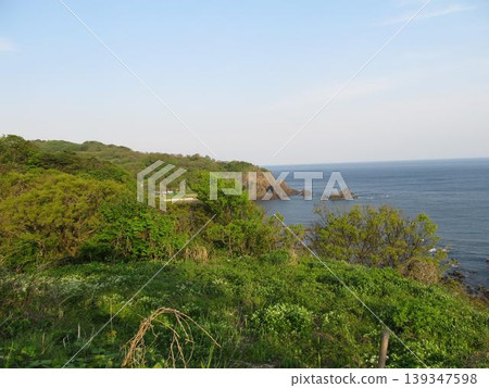 The lush green coastline and the seascape of Noto Kongo and Iwamoto The lush green coastline and the seascape of Noto Kongo and Iwamoto 139347598