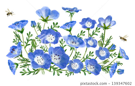 Honeybees and Nemophila (watercolor painting) Honeybees and Nemophila (watercolor painting) 139347602