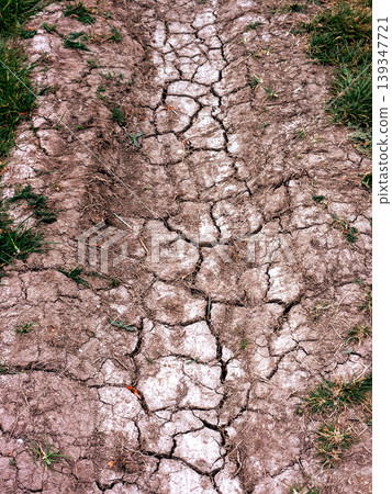 Dried, cracked earth and green grass vegetation trying to growconcept of Climate change impact Dried, cracked earth and green grass vegetation trying to growconcept of Climate change impact 139347721
