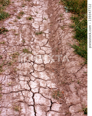 Dried, cracked earth and green grass vegetation trying to growconcept of Climate change impact Dried, cracked earth and green grass vegetation trying to growconcept of Climate change impact 139347722