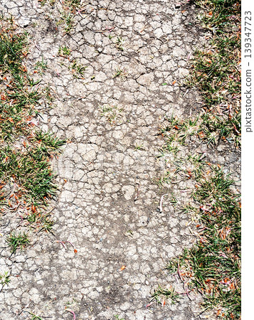 Dried, cracked earth and green grass vegetation trying to growconcept of Climate change impact Dried, cracked earth and green grass vegetation trying to growconcept of Climate change impact 139347723
