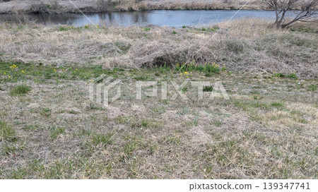 小川河 小川河 139347741
