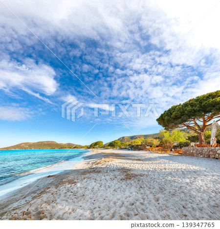 Amazing view of Palombaggia and Tamaricciu beaches. Amazing view of Palombaggia and Tamaricciu beaches. 139347765