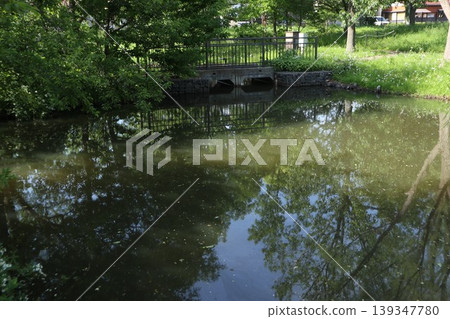 葛飾區水元公園 葛飾區水元公園 139347780