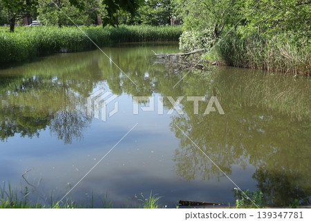 葛飾區水元公園 葛飾區水元公園 139347781