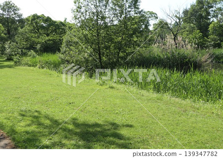 葛飾區水元公園 葛飾區水元公園 139347782