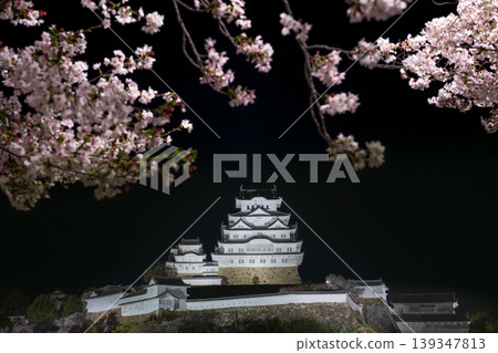 Cherry blossoms in full bloom illuminated at night and Himeji Castle keep Cherry blossoms in full bloom illuminated at night and Himeji Castle keep 139347813