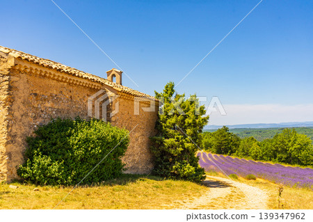 Lavender field and chapel at Entrevennes village, France Lavender field and chapel at Entrevennes village, France 139347962
