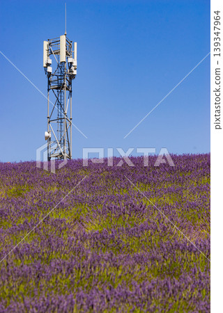 Telecommunication tower in lavender field Telecommunication tower in lavender field 139347964