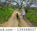 a woman with a black dog on a walk in the forest 139348037