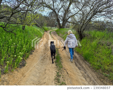 a woman with a black dog on a walk in the forest a woman with a black dog on a walk in the forest 139348037