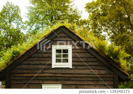 House roof covered with moss 139348175
