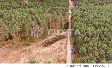 Tuchola forest in Poland. Aerial view Tuchola forest in Poland. Aerial view 139348204