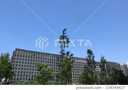 金町街景 金町街景 139348427