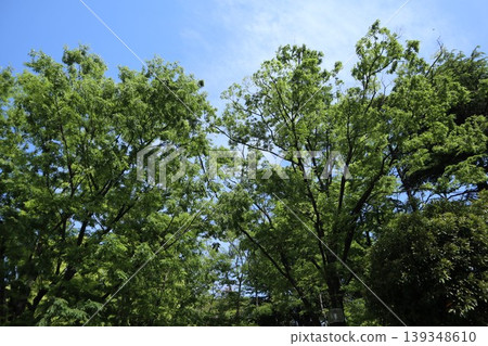 Ota Ward Heiwanomori Park Ota Ward Heiwanomori Park 139348610