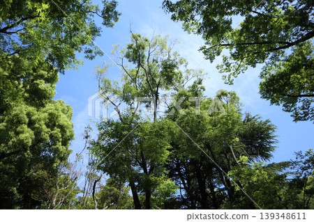 大田區平和森公園 139348611