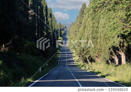 Cypress tree lined avenue in bolgheri tuscany 139348620