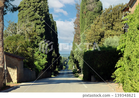 Tuscany countryside road with tall cypress trees 139348621