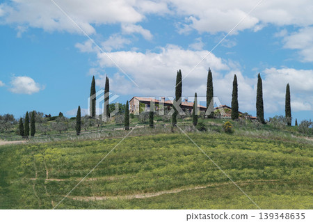 Tuscan farmhouse surrounded by cypress trees on rolling hills Tuscan farmhouse surrounded by cypress trees on rolling hills 139348635