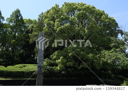 Ota Ward Heiwanomori Park 139348817