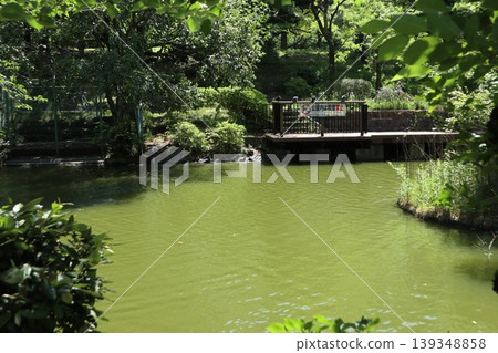 Ota Ward Heiwanomori Park Ota Ward Heiwanomori Park 139348858