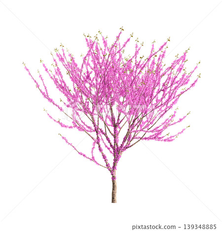 Cercis chinensis tree 3d illustration on transparent background Cercis chinensis tree 3d illustration on transparent background 139348885
