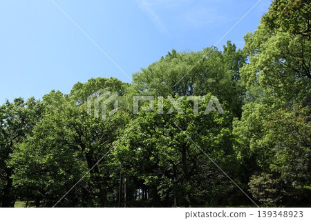 大田區平和森公園 大田區平和森公園 139348923