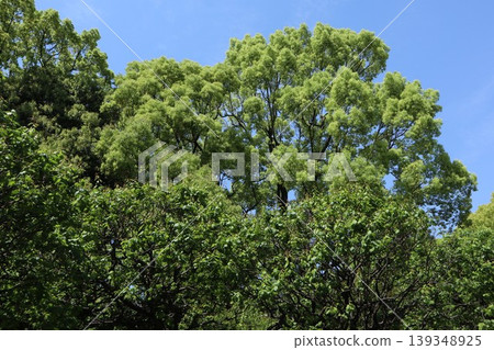Ota Ward Heiwanomori Park Ota Ward Heiwanomori Park 139348925