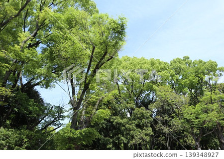 Ota Ward Heiwanomori Park 139348927
