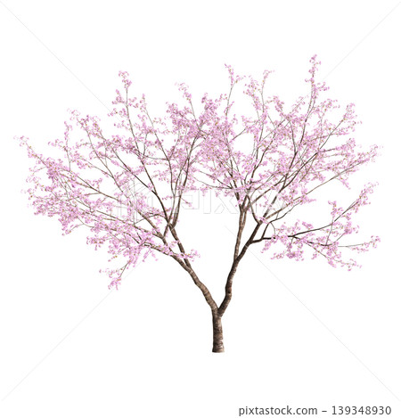 Cerasus tree 3d illustration on transparent background Cerasus tree 3d illustration on transparent background 139348930