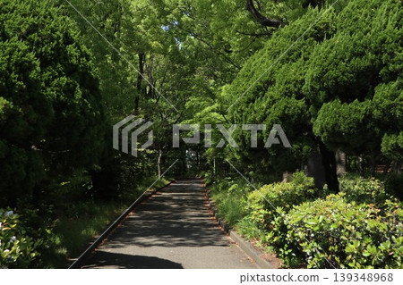 大田區平和森公園 大田區平和森公園 139348968