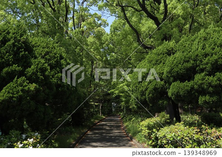 大田區平和森公園 大田區平和森公園 139348969