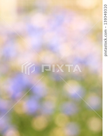 花朵的印象 花朵的印象 139349310
