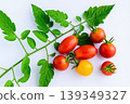 色彩鮮豔的櫻桃番茄和葉子（夏季蔬菜） 139349327