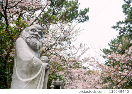 Bodhidharma Monk by cherry blossom in Haedong Yonggungsa Temple, Busan Bodhidharma Monk by cherry blossom in Haedong Yonggungsa Temple, Busan 139349440