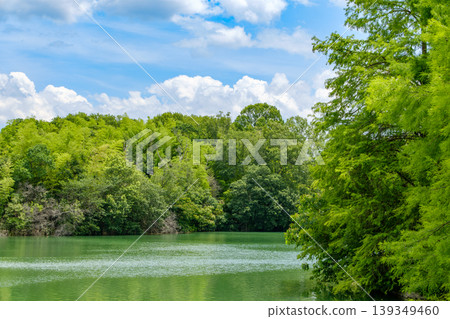 A lush green lakeside landscape with a blue sky and white clouds. A lush green lakeside landscape with a blue sky and white clouds. 139349460
