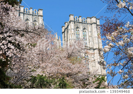 Cherry blossom tuunel surround Kyung Hee University Grand Hall, Seoul Cherry blossom tuunel surround Kyung Hee University Grand Hall, Seoul 139349468