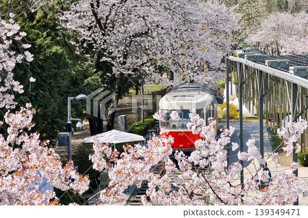 Aerial view of retro Red train through cherry blossom, Seoul Aerial view of retro Red train through cherry blossom, Seoul 139349471