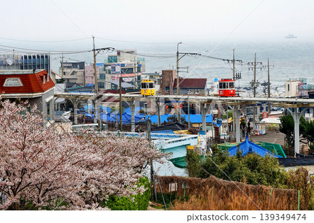 sky capsule on monorail to Cheongsapo station and cherry tree, Busan sky capsule on monorail to Cheongsapo station and cherry tree, Busan 139349474
