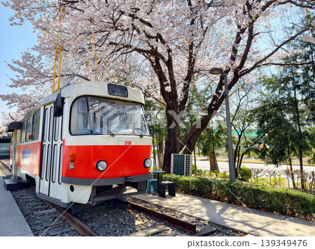 retro train by cherry blossom at Hwarangdae Railway Park, Seoul retro train by cherry blossom at Hwarangdae Railway Park, Seoul 139349476
