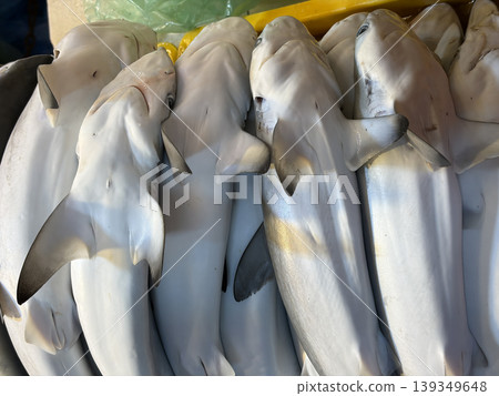 Shark and marine catch arranged together representing endangered sharks and extinction risk from fishing. 139349648