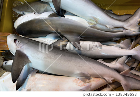 Fresh shark catch displayed at seafood market representing endangered sharks and urgent extinction risk. 139349658