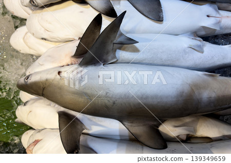 Whole shark displayed in seafood market representing endangered sharks and global extinction concern. 139349659