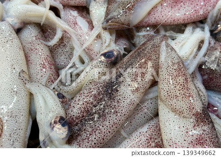 Fresh squids pile representing seafood harvest, wet market supply and fishery catch. Fresh squids pile representing seafood harvest, wet market supply and fishery catch. 139349662