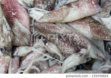 Raw squids displayed closely representing fresh seafood preparation and market supply. Raw squids displayed closely representing fresh seafood preparation and market supply. 139349664