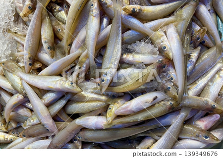 Small silver fish pile representing fresh seafood catch and traditional fish market produce. Small silver fish pile representing fresh seafood catch and traditional fish market produce. 139349676