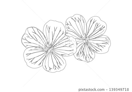 Continuous One Line Drawing of Bloody Cranesbill Flower eps10 139349718